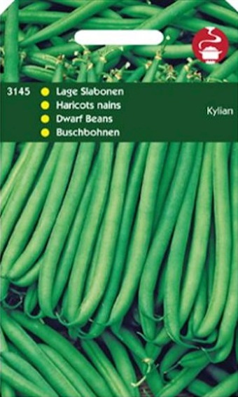 Dwarf Bean Kylian (Phaseolus) 350 seeds HT